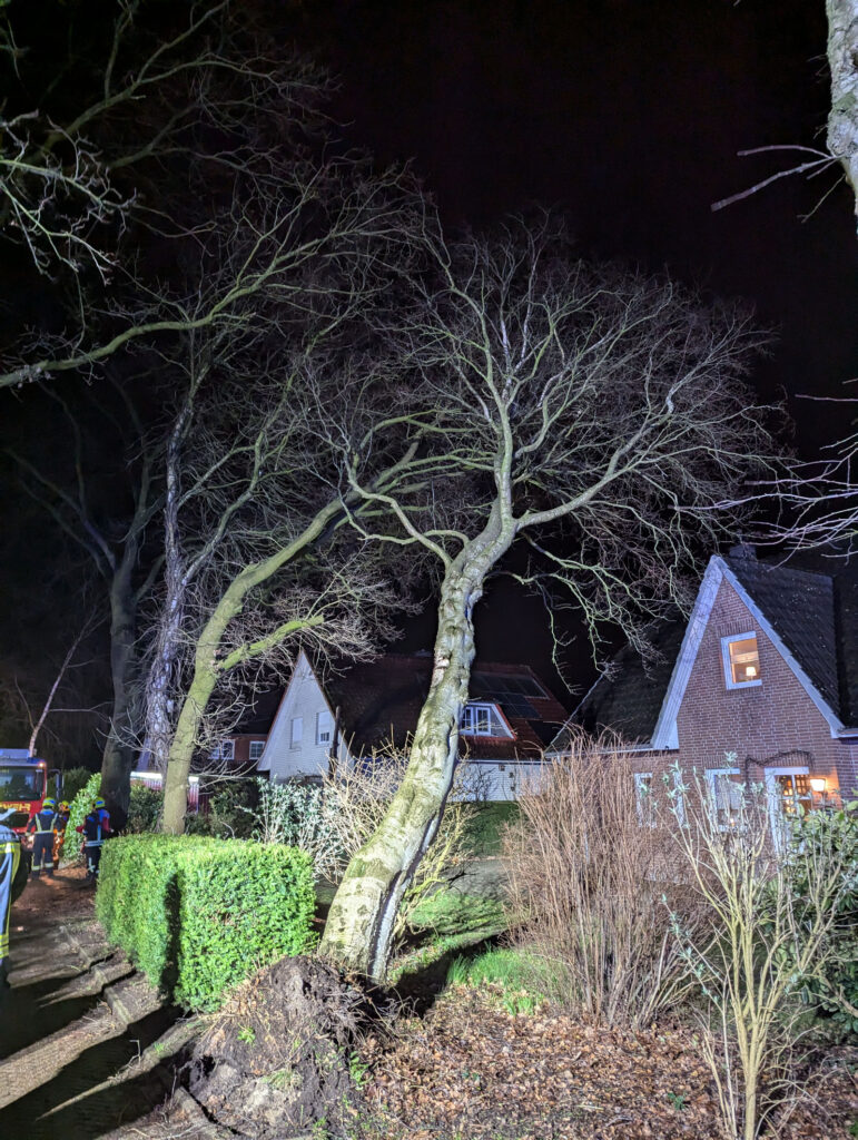 Einsatzfoto: Baum droht auf Haus zu stürzen