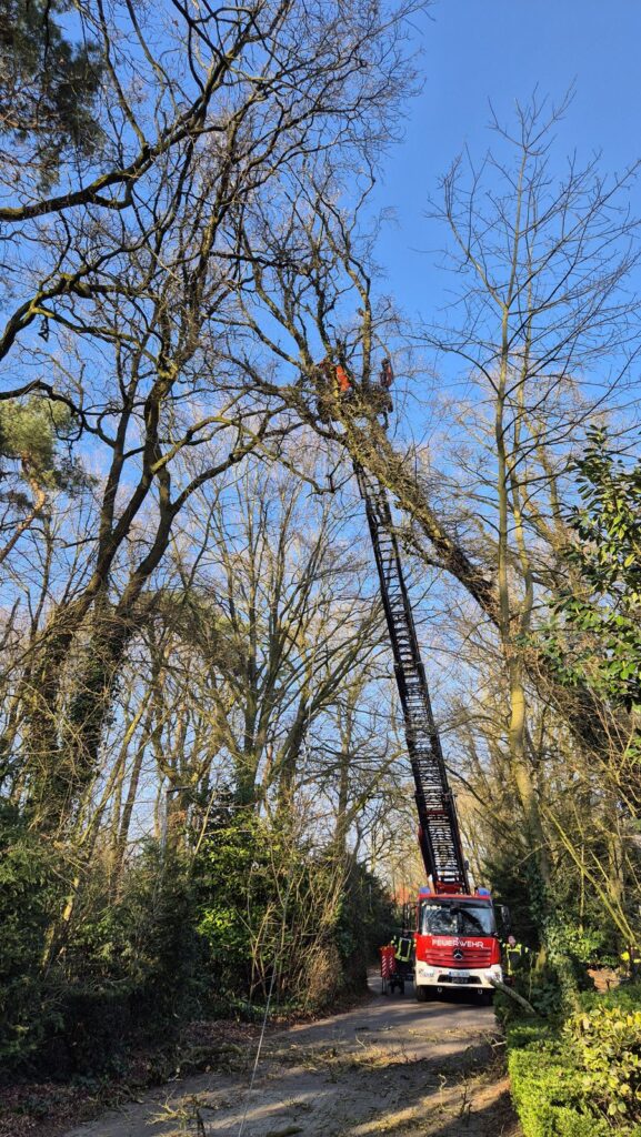 Einsatzfoto: Baum hängt in der Lessingstraße fest