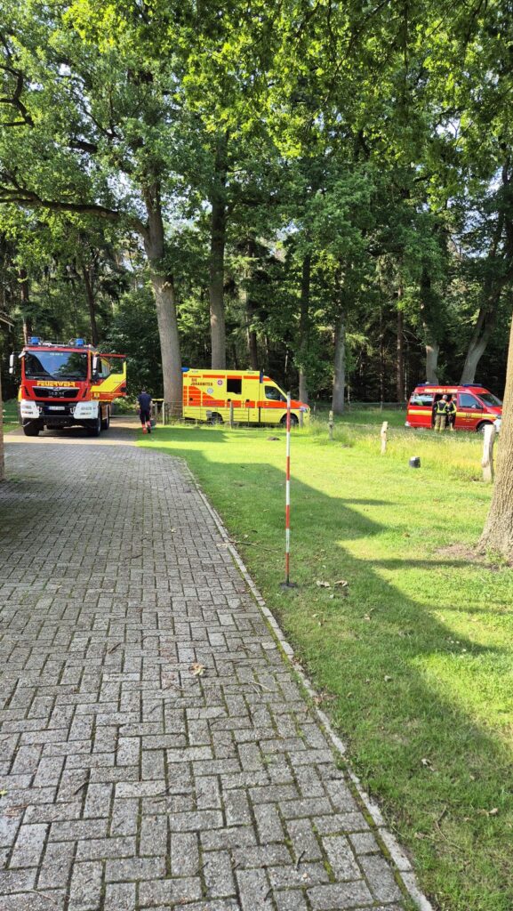 Einsatzfoto: Patientenrettung über die Drehleiter