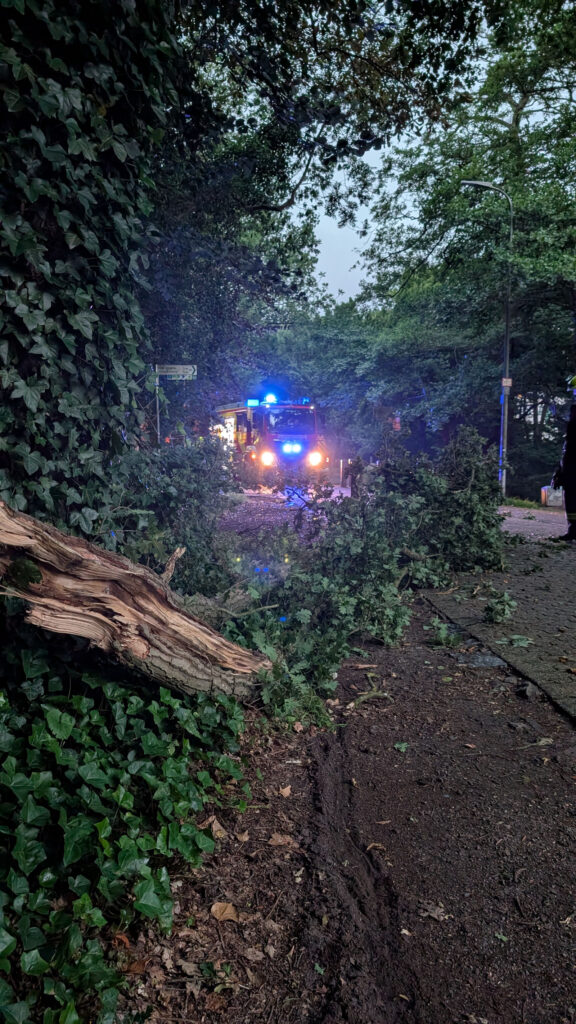 Einsatzfoto: Ast auf dem Hurreler Weg