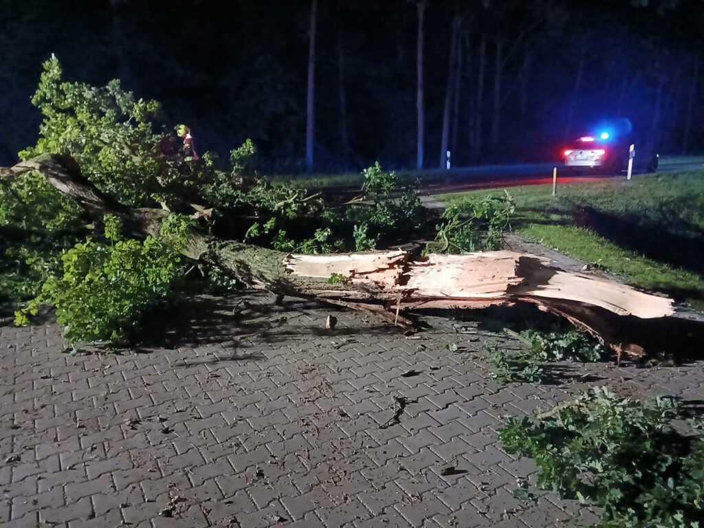 Einsatzfoto: Eichenast blockiert die Bremer Straße