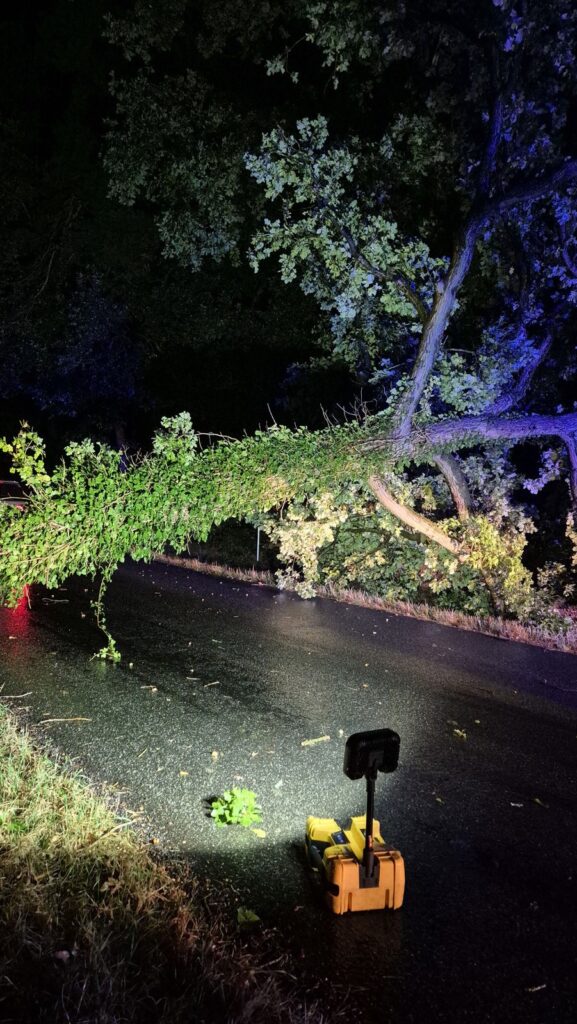 Einsatzfoto: Eiche nach Gewitter auf der Linteler Straße