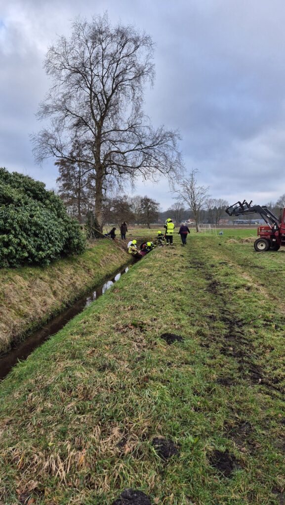 Einsatzfoto: Pony aus Graben gerettet