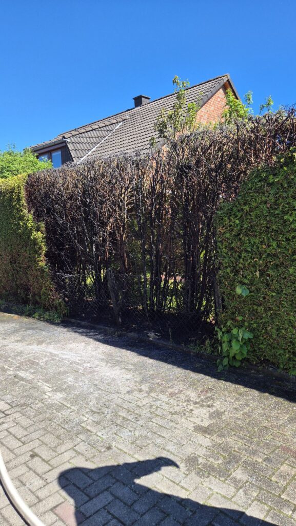 Einsatzfoto: Thujahecke fängt beim Unkrautabflammen Feuer