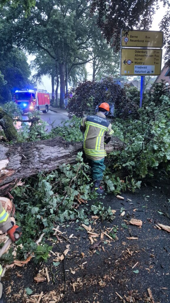Einsatzfoto: Eiche stürzt auf die Parkstraße